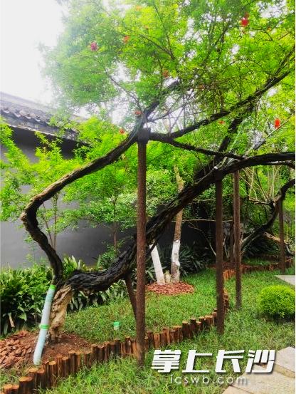 2138cn太阳集团古天乐