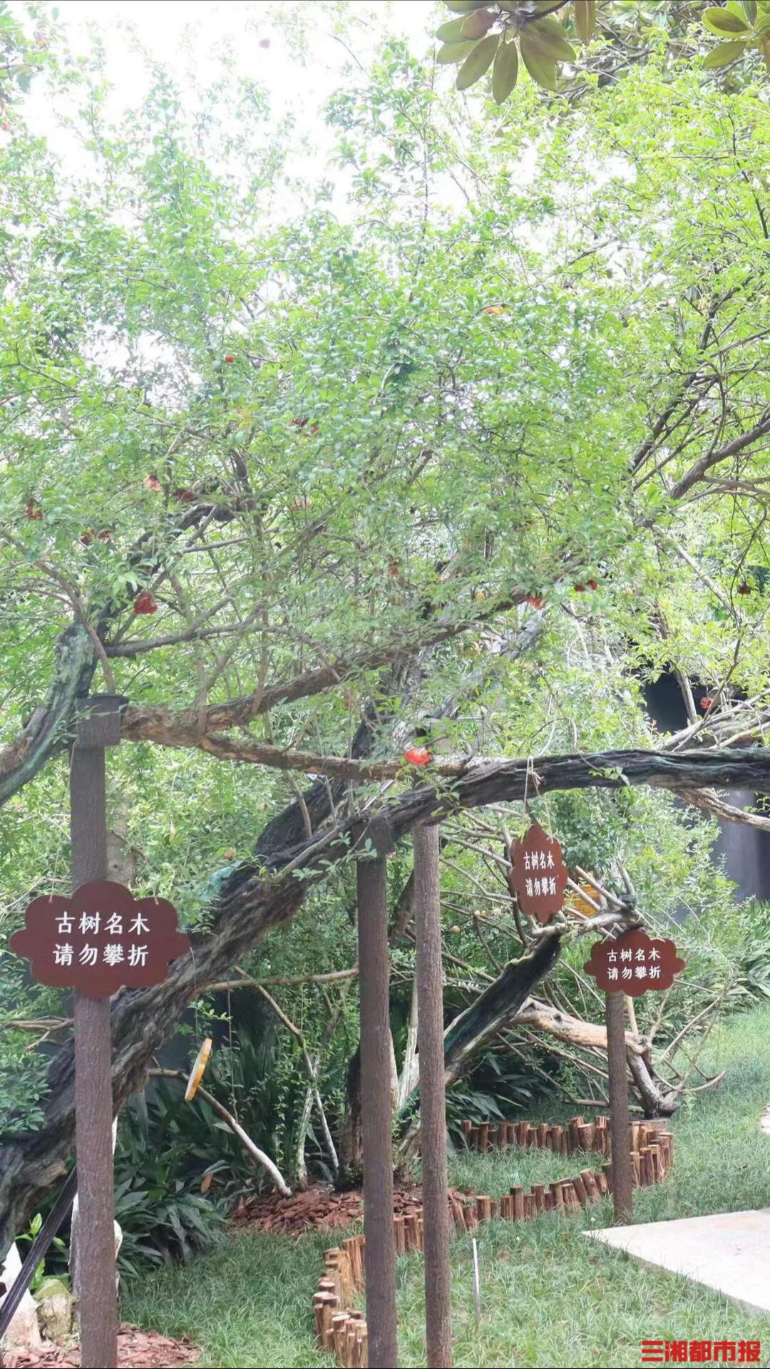 2138cn太阳集团古天乐